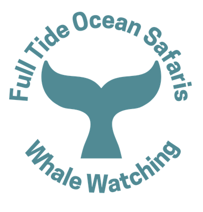 Full-Tide Ocean Safaris